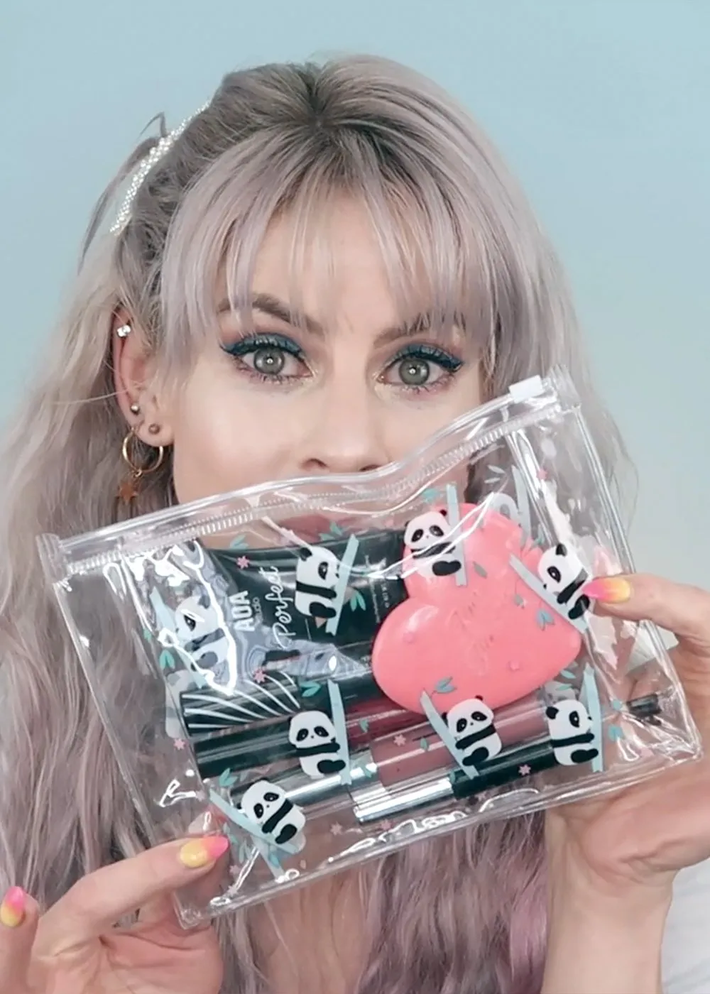 AOA Clear Makeup Pouch - Playful Kittens
