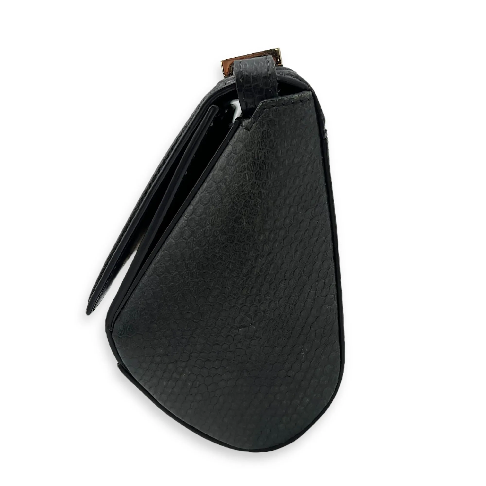 Pandora Box Crossbody Bag Multi-colour in Python Leather, Silver hardware